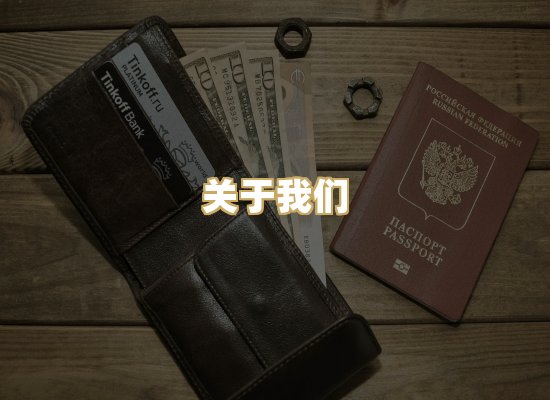 关于我们