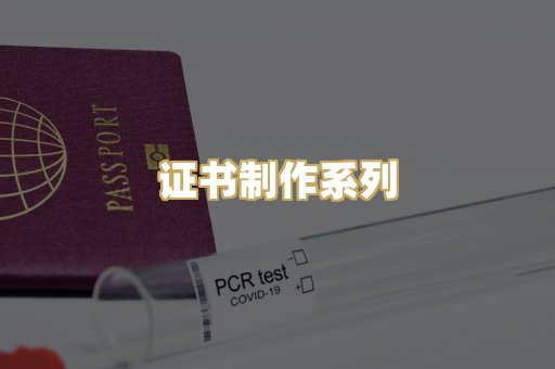 证书制作系列